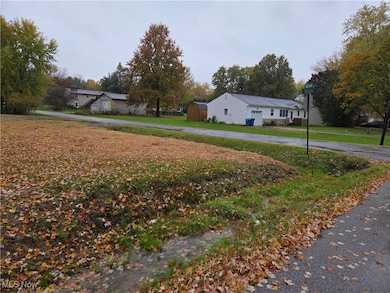 4234 Watkins Rd, Norton, OH 44203 - photo 5