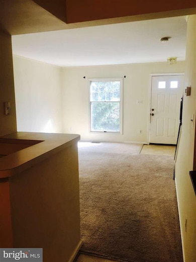 5017 9th St S, Arlington, VA 22204 - photo 6