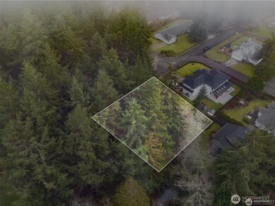 2514 Shepard St, Steilacoom, WA 98388 - photo 4
