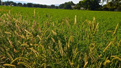 DSC_8670 - Version 2