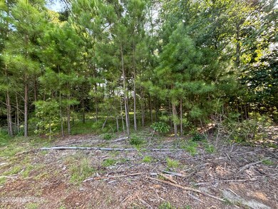 102 W Liberty St, Williamston, NC 27892 - photo 6