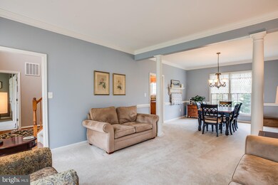 6902 Elon Dr, Fredericksburg, VA 22407 - photo 6