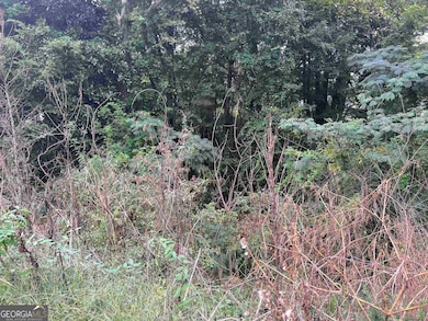 5596 Buford Hwy, Peachtree Corners, GA 30071 - photo 5