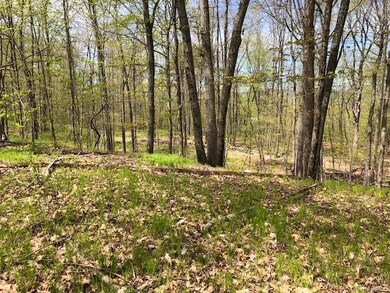 0 Lily Lake Rd unit KEY908782, Lloyd, NY 12528 - photo 4