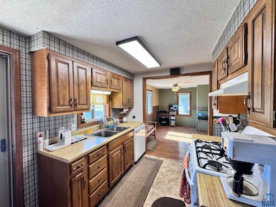 1313 4th St, Onawa, IA 51040 - photo 6