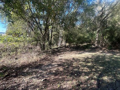 0 Lake Ln unit 21114204, Eustace, TX 75124 - photo 5