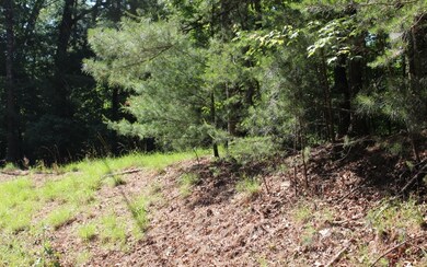 Additional View
