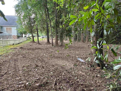 25 Crickle Creek Ln, Camden, SC 29020 - photo 3