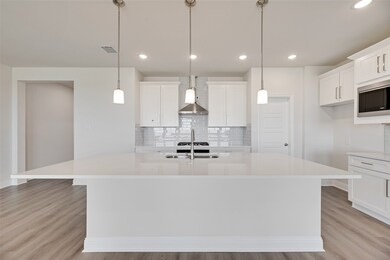 2016 Beeflower St, Celina, TX 75009 - photo 5