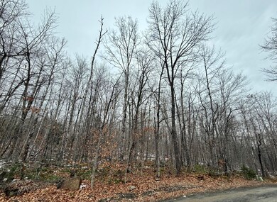 Lot 104 Hornbeam Ridge Rd, Dexter, ME 04930 - photo 2