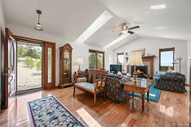 322 Sequoia Rd, Hartsel, CO 80449 - photo 5