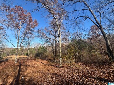 0 Smith Ln, Talladega, AL 35160 - photo 6