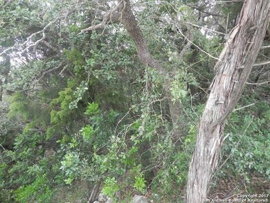 8518 Terra Mont Way, San Antonio, TX 78255 - photo 7