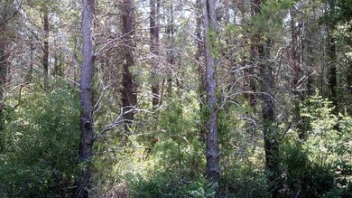 0 Sea Horse Dr 2nd unit 1 292596, Perry, FL 32348 - photo 2