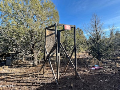 17411 Lillie J Ranch Rd unit 62, Parks, AZ 86046 - photo 4