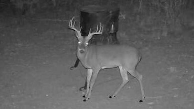 1200 Lipan Apache Run, Blanco, TX 78606 - photo 7