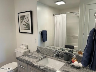 A313 guest bath