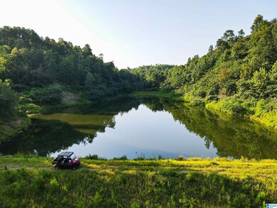 NoBusinessCreek Phillips Ln, Empire, AL 35063 - photo 5