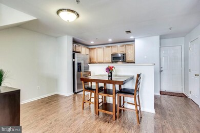 42224 Terrazzo Terrace, Stone Ridge, VA 20105 - photo 7