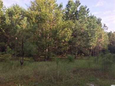 0 Whispering Hills Rd, Loris, SC 29569 - photo 3