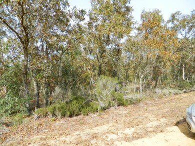 130 Lake Lucy Court (5)