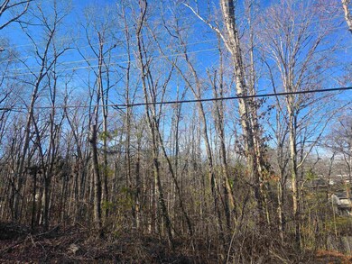 L-4 B-4 Powhatan Dr, Cherokee Village, AR 72529 - photo 6