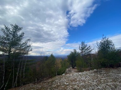 0 Colony Mine unit 4898845, Alstead, NH 03602 - photo 5