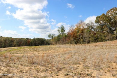 Tract 3 Hugh White State Park Road-3