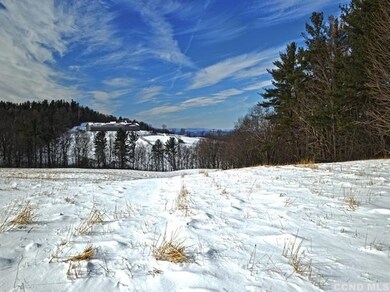 1 Thomas Rd, Old Chatham, NY 12136 - photo 2