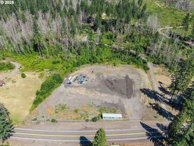 50389 Mckenzie Hwy, Vida, OR 97488 - photo 3