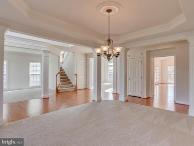 43 Palisades Dr, Stafford, VA 22554 - photo 6