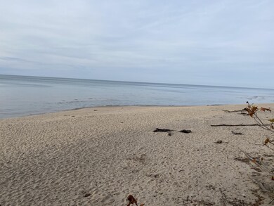 IMG-4537