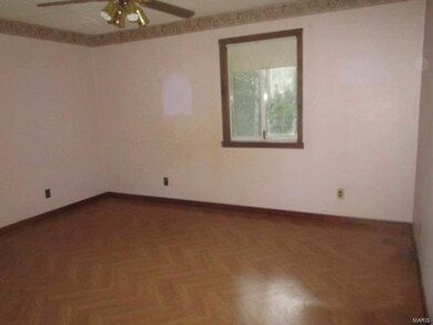 152 County Road 452, Poplar Bluff, MO 63901 - photo 7