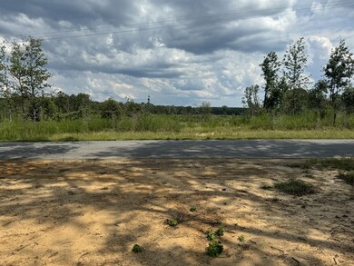 0 Busy Corner Rd, Gloster, MS 39638 - photo 6