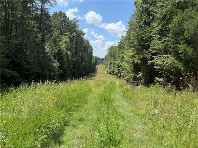 438 River Pines Trail, Clemmons, NC 27012 - photo 4