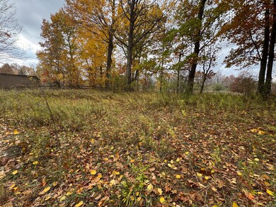 000 W Clear Lake Rd, Buchanan Township, MI 49107 - photo 5