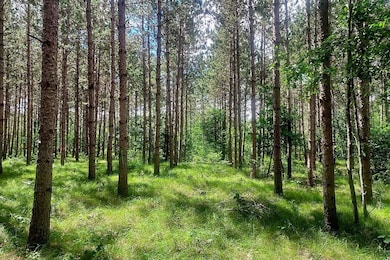 9th Avenue, New Lisbon, WI 54646 - photo 2