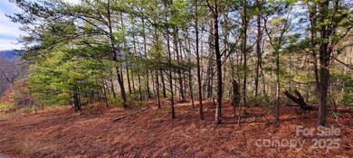 V/L Chickasaw Way unit 2B, Linville Falls, NC 28752 - photo 2