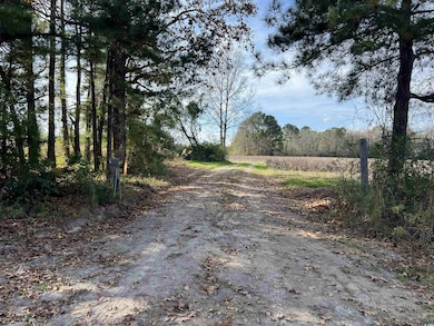 0 Easler Hwy unit 2528901, Greeleyville, SC 29056 - photo 3