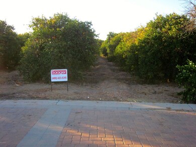 Lot 1