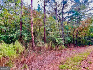 577 Tonto Dr, Ellijay, GA 30540 - photo 5