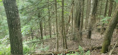 000 Bobbin Mill Rd, Lyman, NH 03585 - photo 5