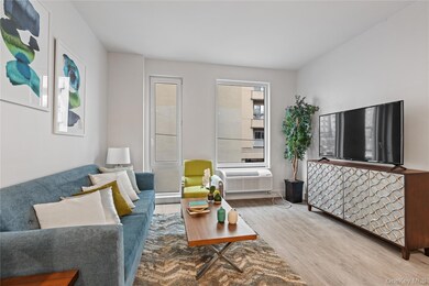 40 Westchester Place unit 302, New Rochelle, NY 10801 - photo 5