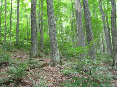 00 Crescent Beach Rd, Morgan, VT 05853 - photo 3