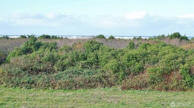 Ocean and Dunes views.