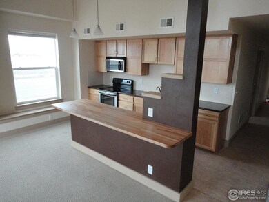826 Heschel St unit D, Fort Collins, CO 80524 - photo 5