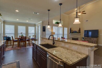 25907 Natal Plum, San Antonio, TX 78261 - photo 7