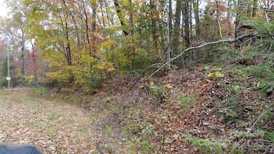 00 Lytle Mountain Rd, Marion, NC 28752 - photo 4