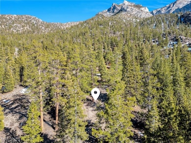 5215 Whispering Deer Dr, Mount Charleston, NV 89124 - photo 7