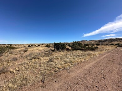 0 Vic Ranchero Rd Blackber unit 25001553, Palmdale, CA 93550 - photo 3